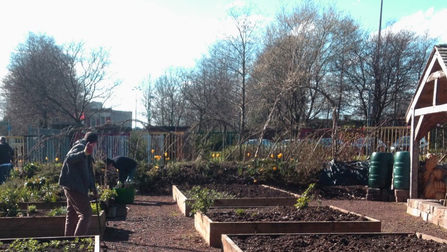 Beautiful and productive places: Glasgow’s community gardens and social cohesion